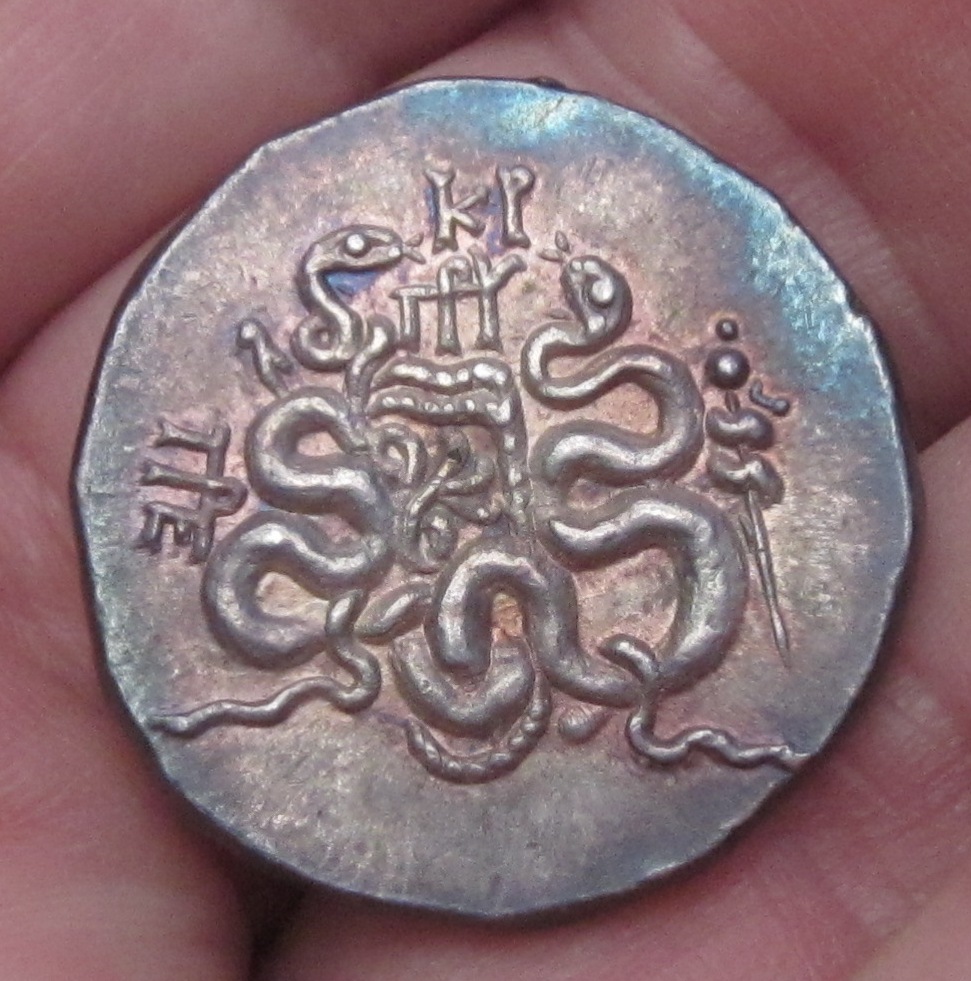 Mysia Pergamon Snakes Rev.jpg
