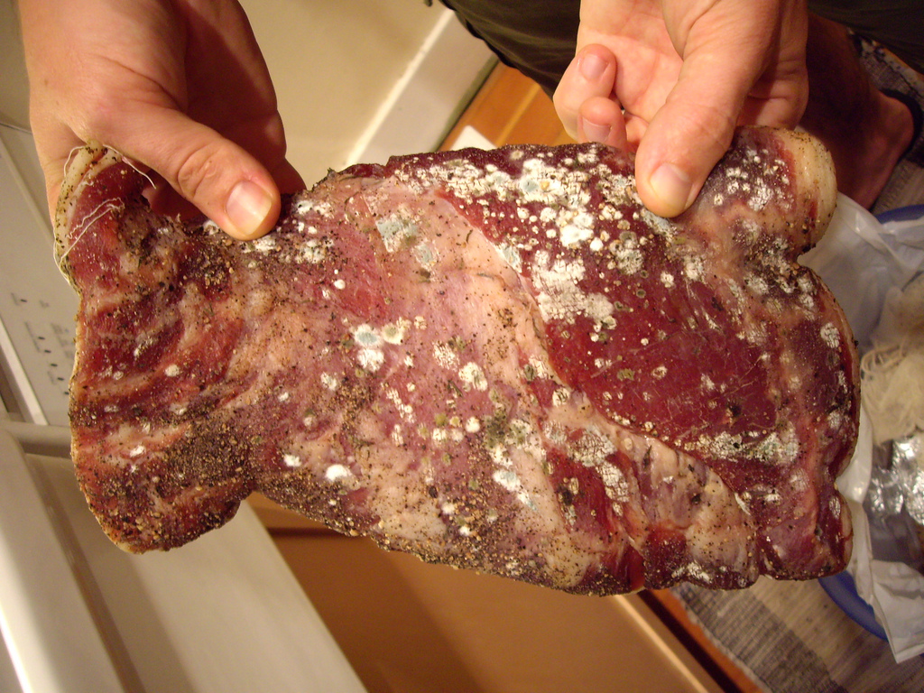 mystery-meat.jpg
