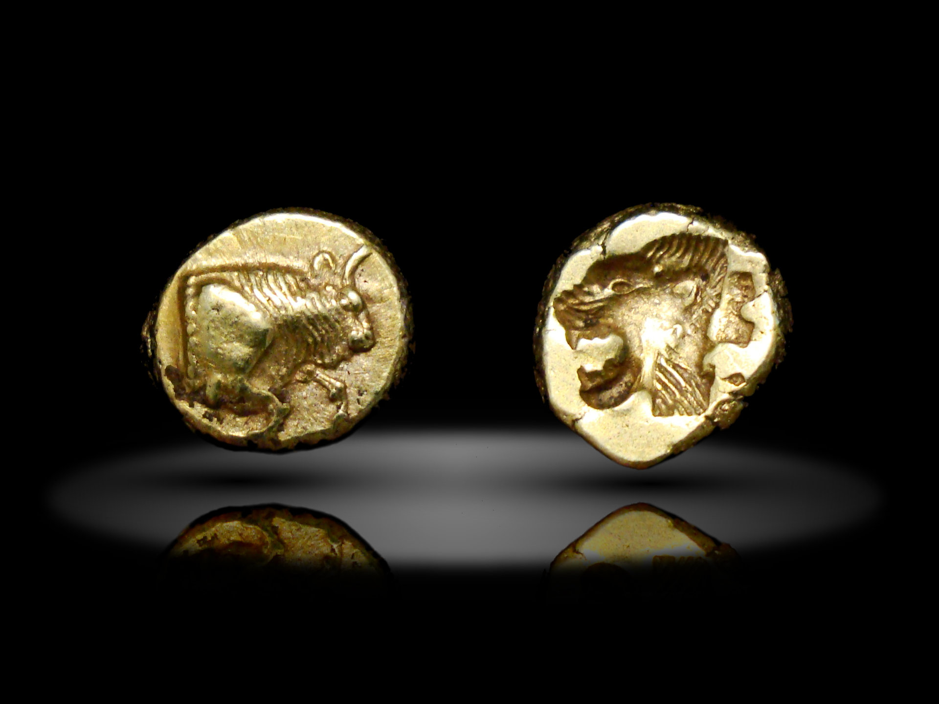 Mytilene Hekte Bull.jpg