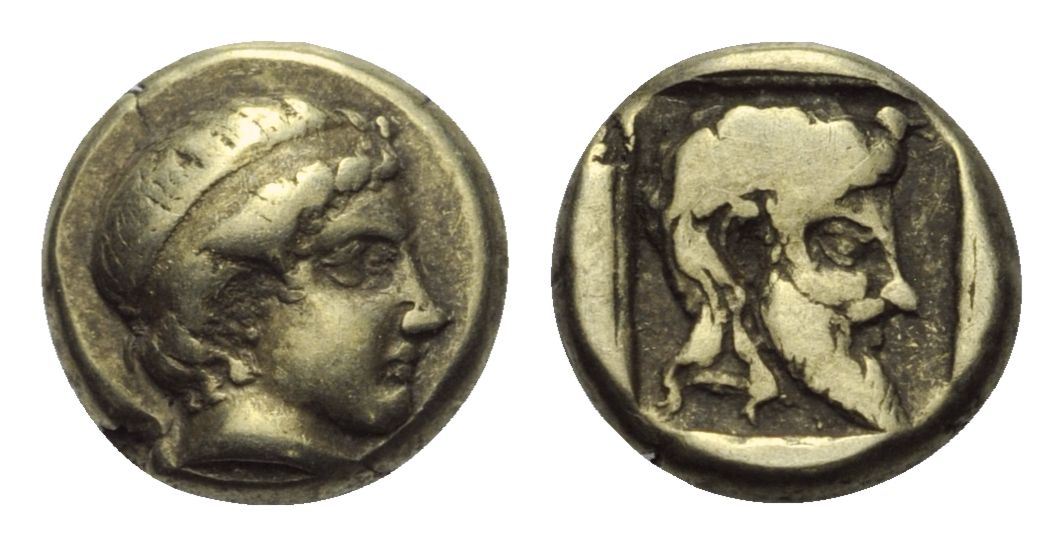 mytilene hemihekte.JPG