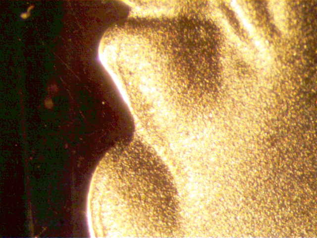 n17.jpg