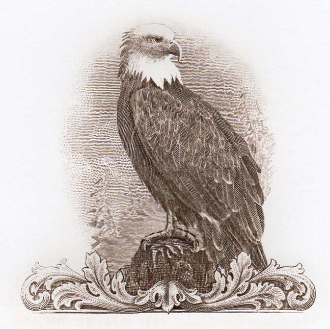 N28 eagle.jpg