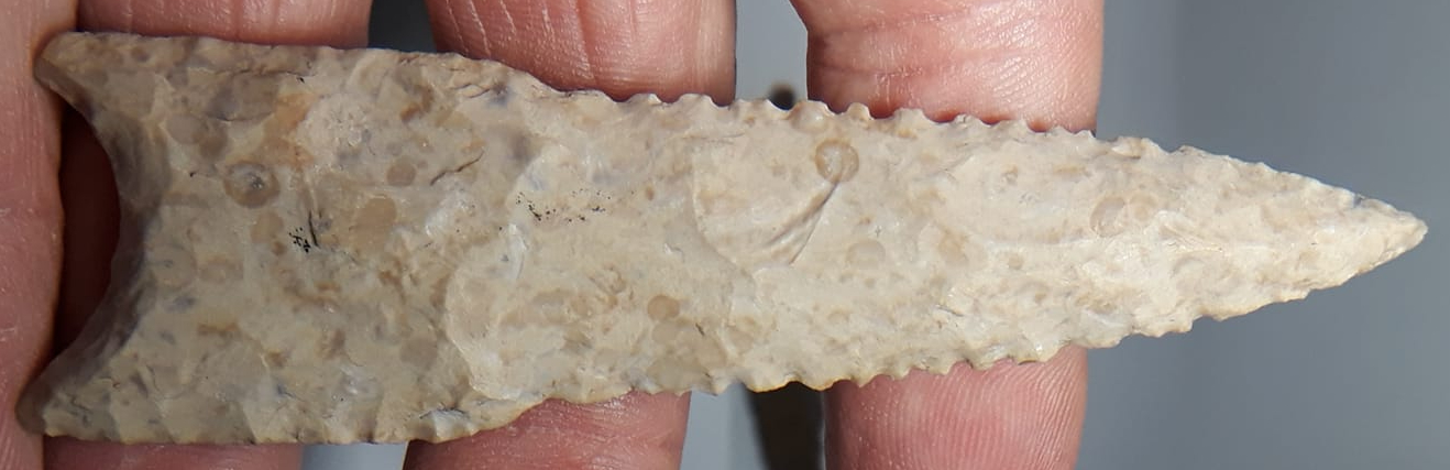 n3.jpg