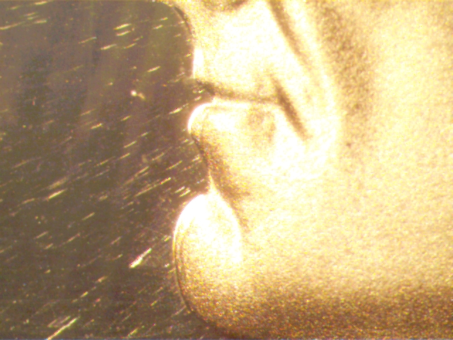 n3.jpg