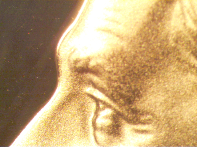 n5.jpg