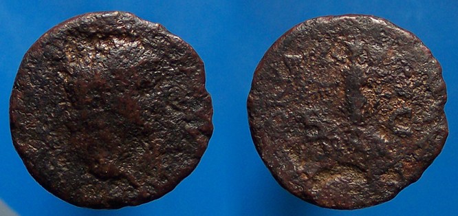 n5240.JPG