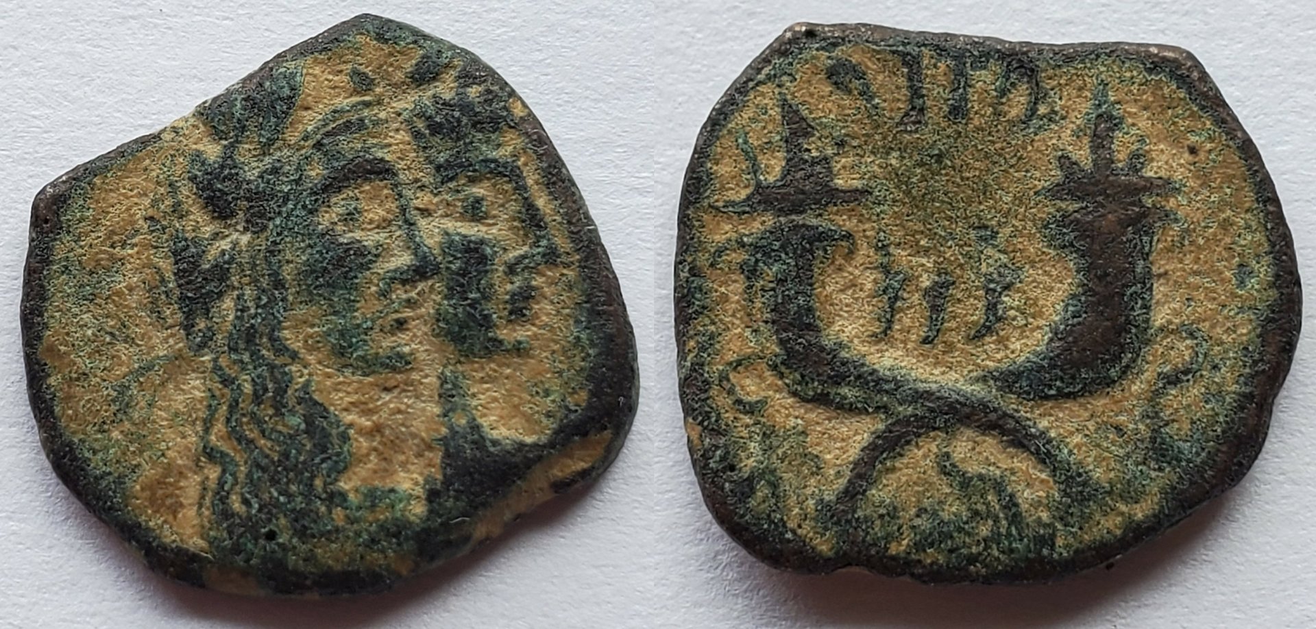 Nabataea Malichus II with Shuqailat.jpg