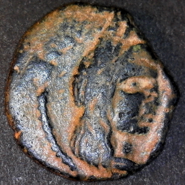 Nabataean kingdom obverse 2 less 7 50pct.jpg
