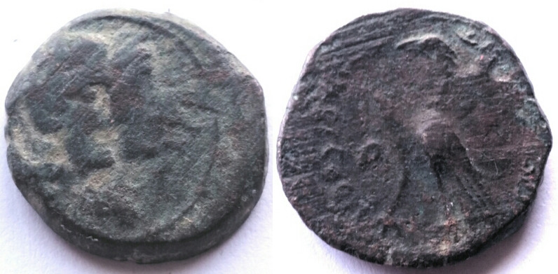 Nabatea obodas hagru eagle.jpg