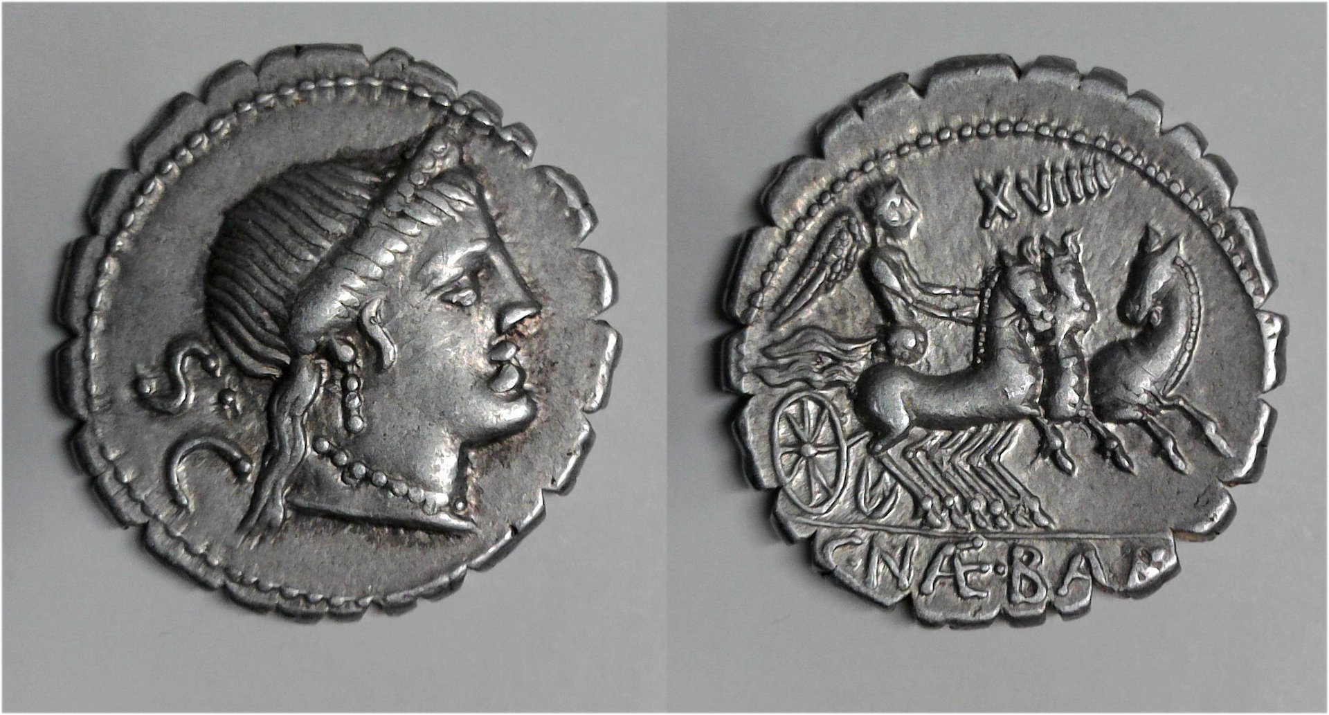 NAevius Balbus.jpg