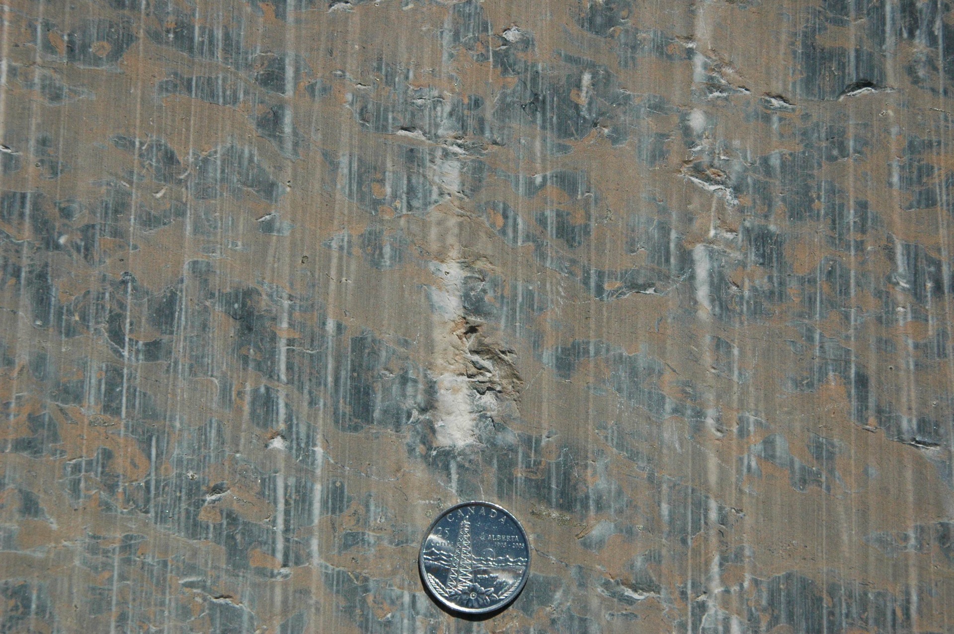 Nailhead_striae_Athabasca_glacier.jpg