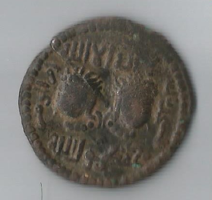 Najmeddin     Halbimardin.jpg