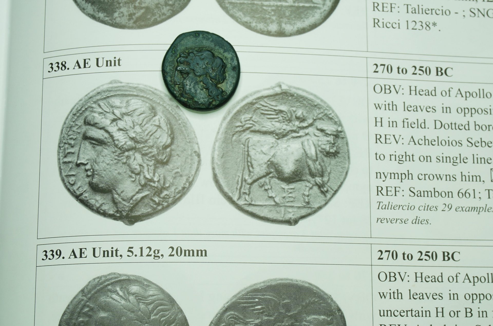 Neapolis 338 obv.JPG
