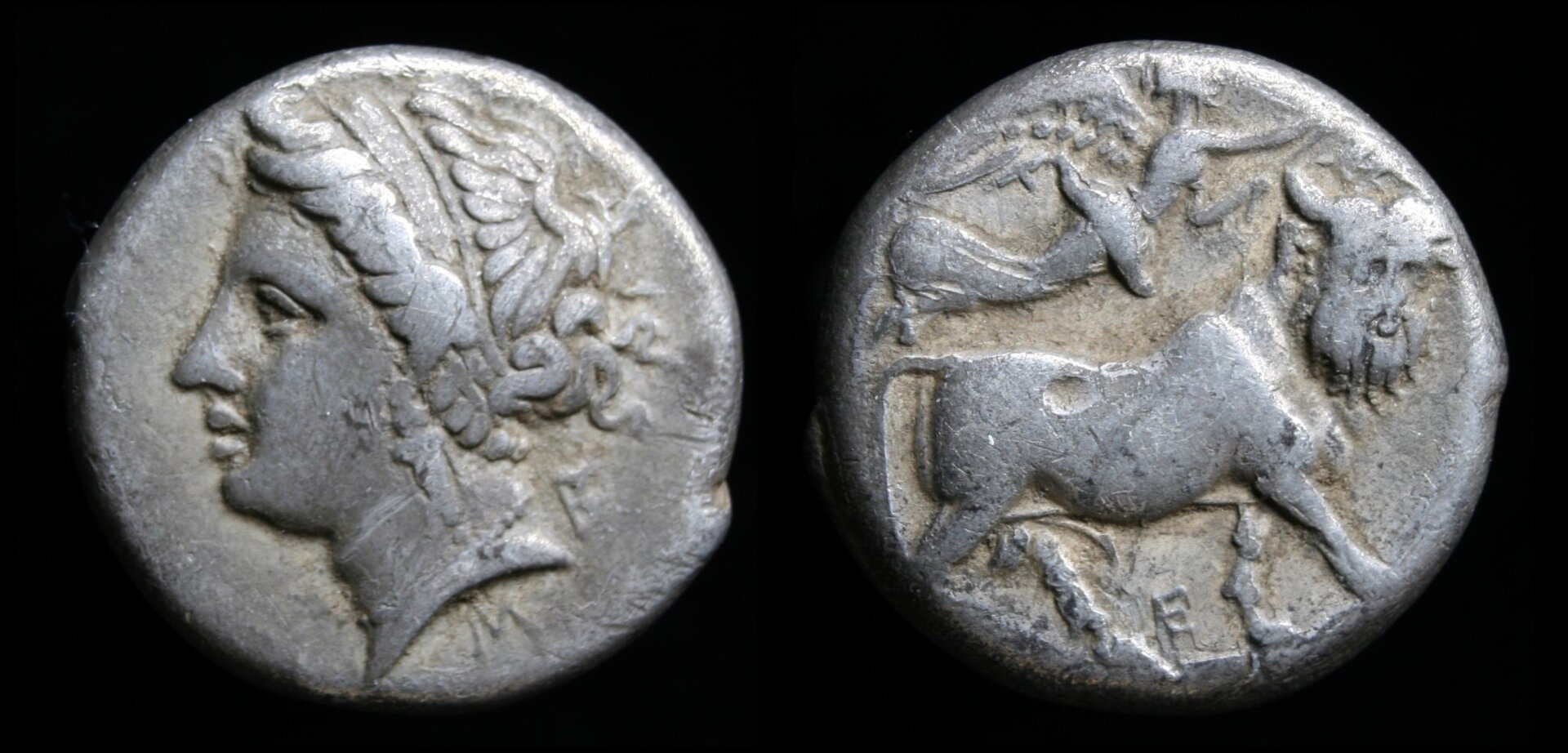 Neapolis Didrachm.jpg