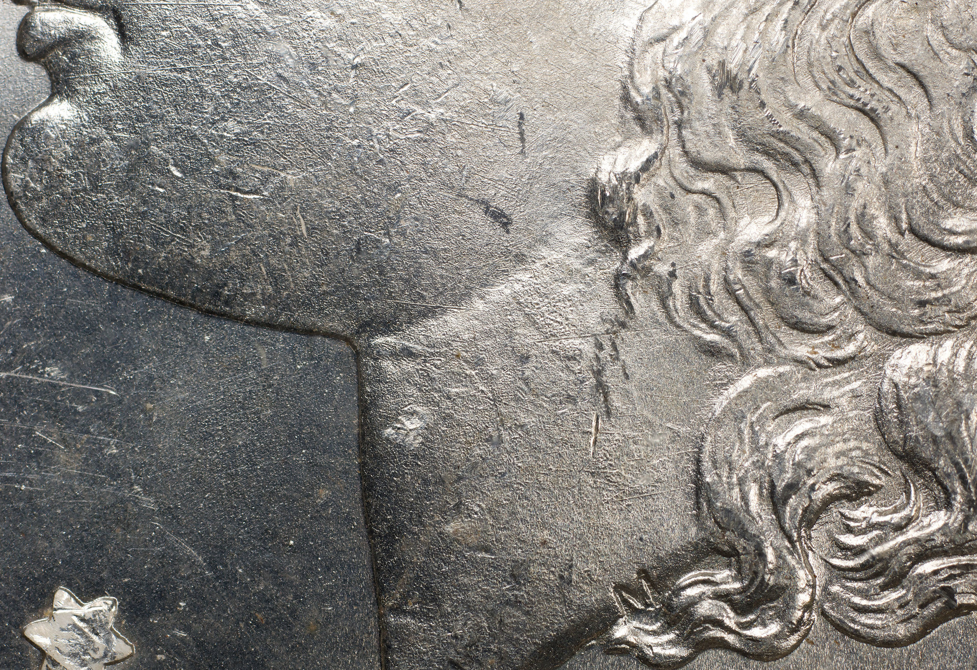Neck-and-Cheek-Detail.jpg