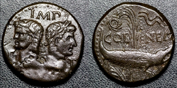 nemausus 6.jpg