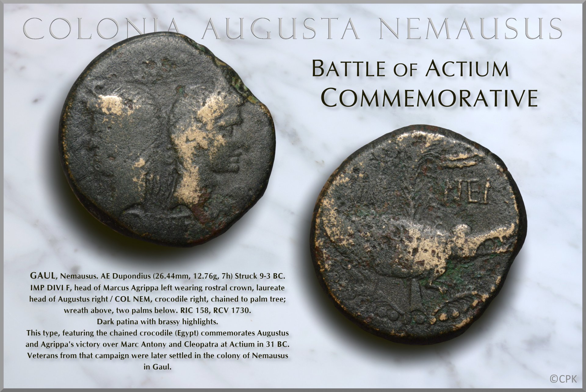 Nemausus dupondius.jpg
