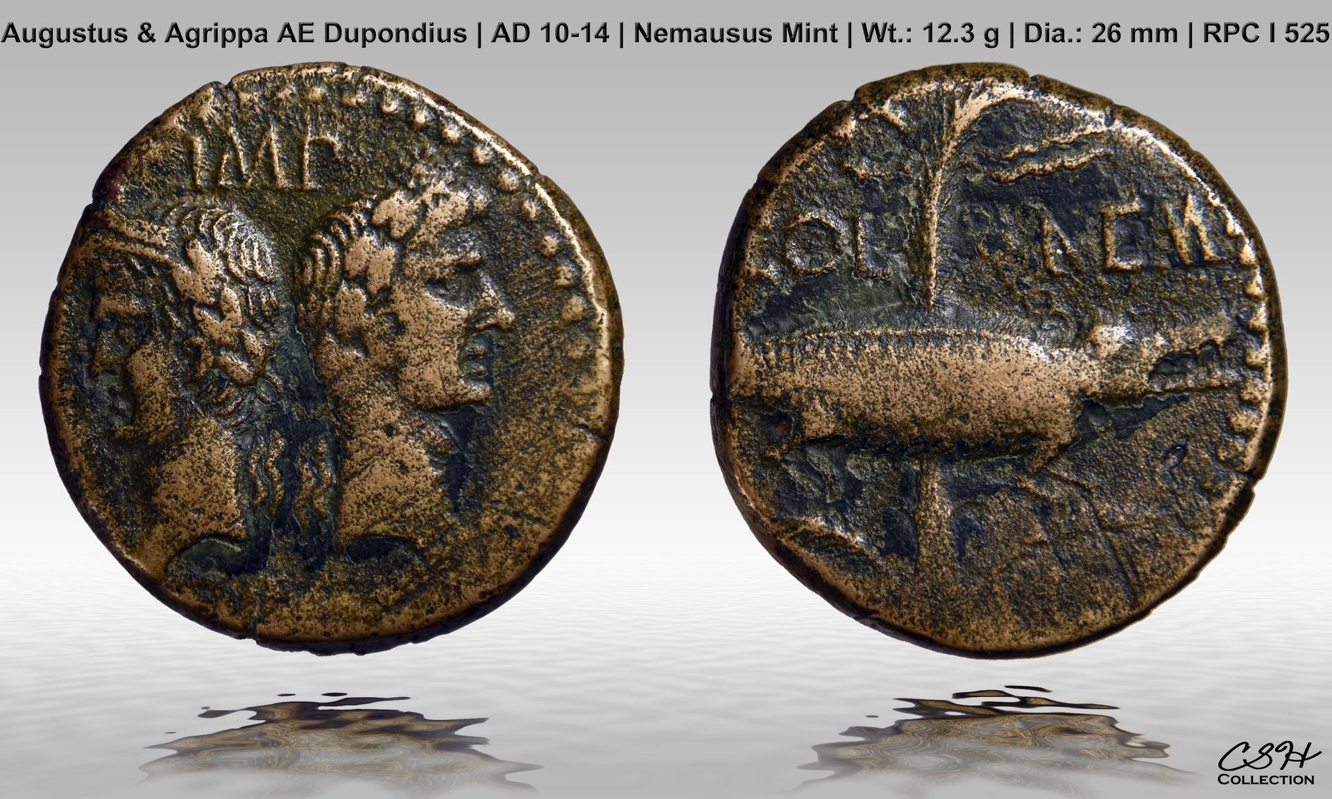 Nemausus_AE_Dupondius_AD_10-14.jpg