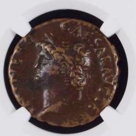 Nero-5.JPG