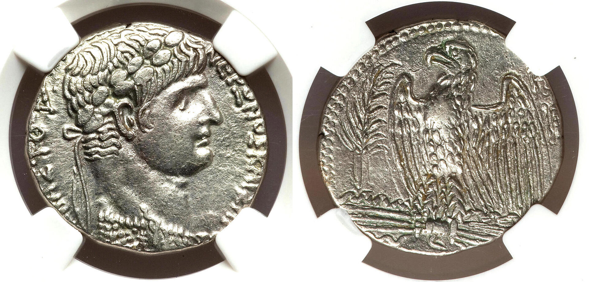 Nero, Antioch, Tet., Ex AWK (3).jpg