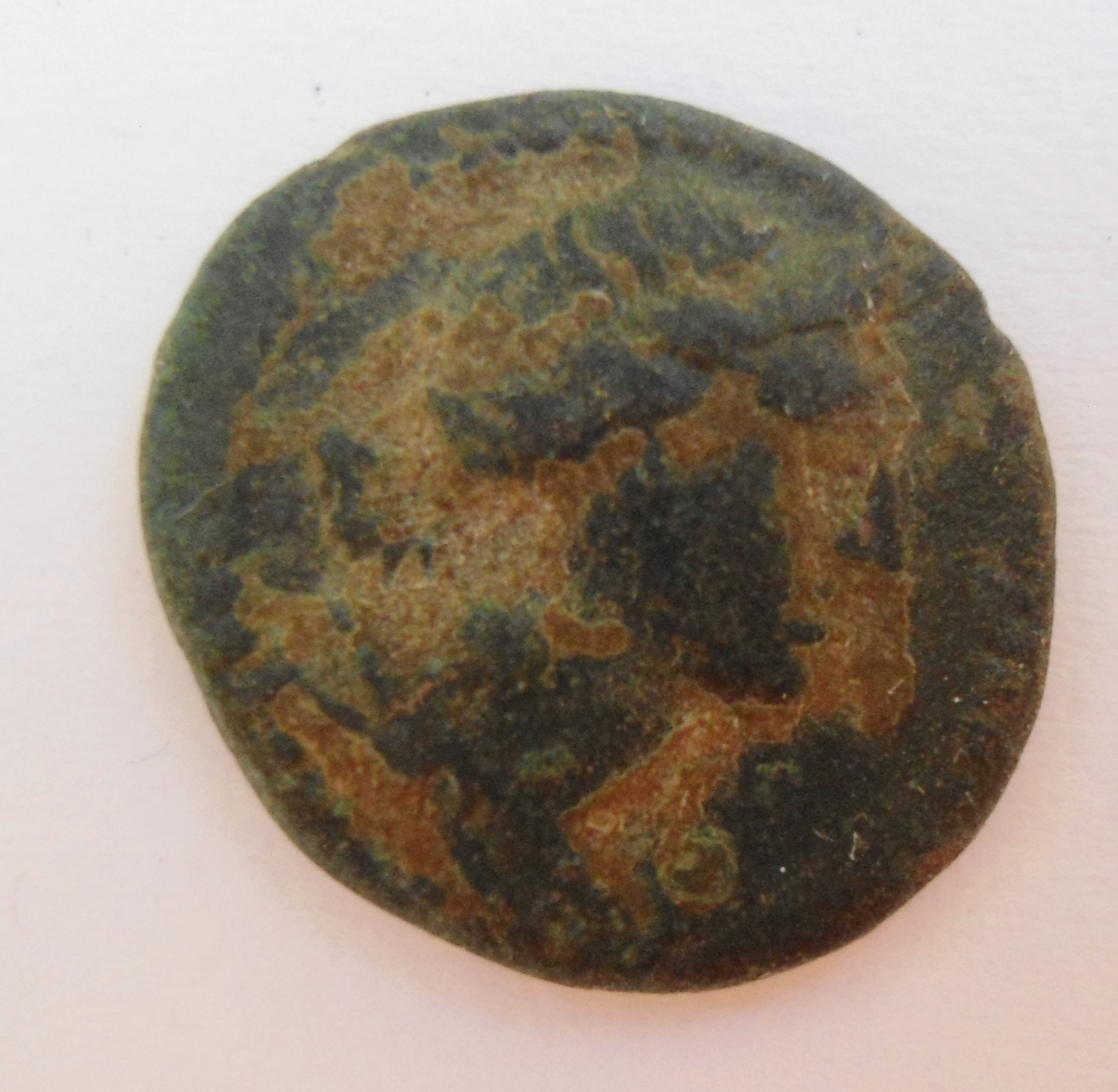 Nero(Apollo)  RPC4301.JPG