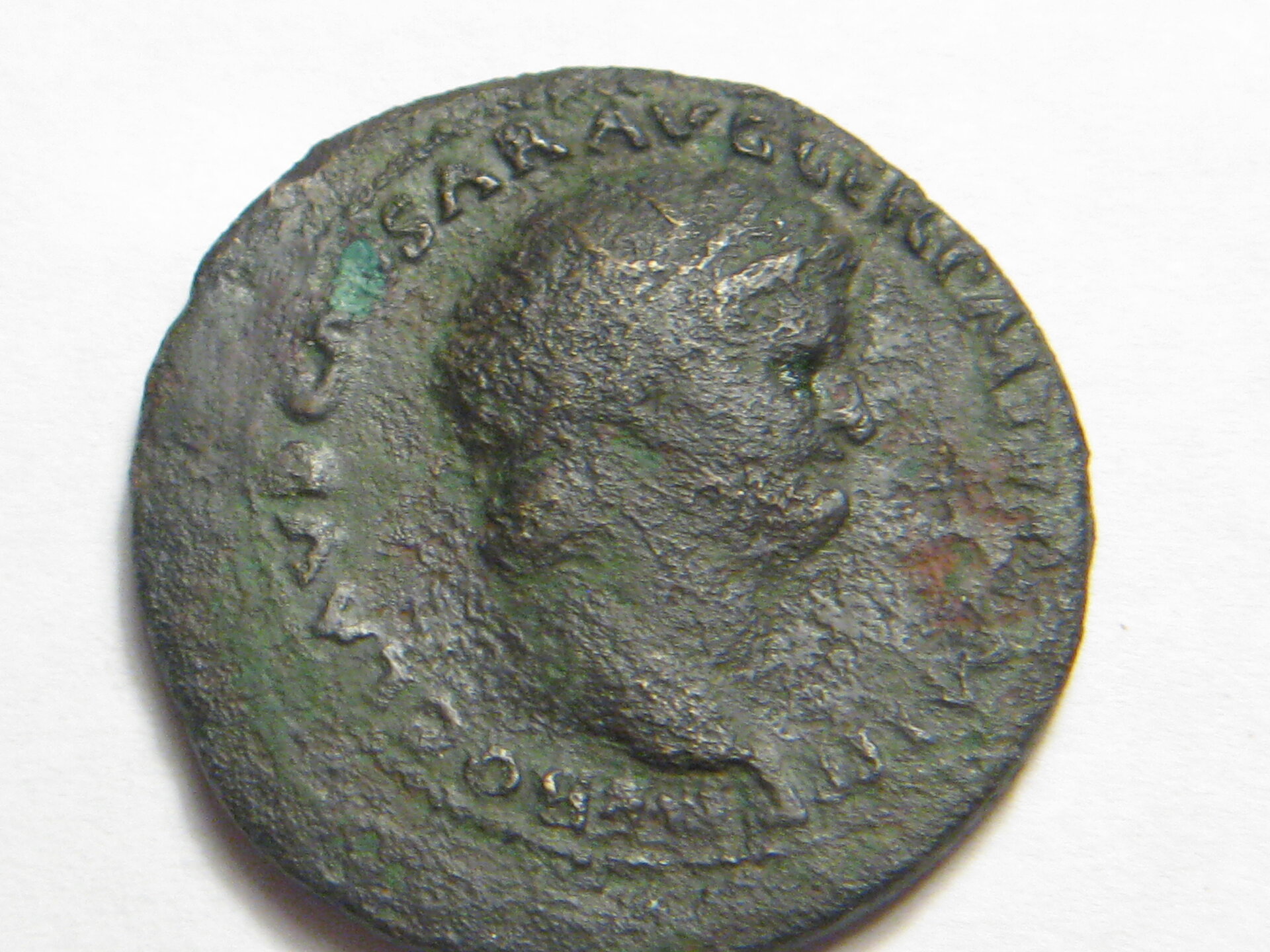 Nero ASSES 002.JPG