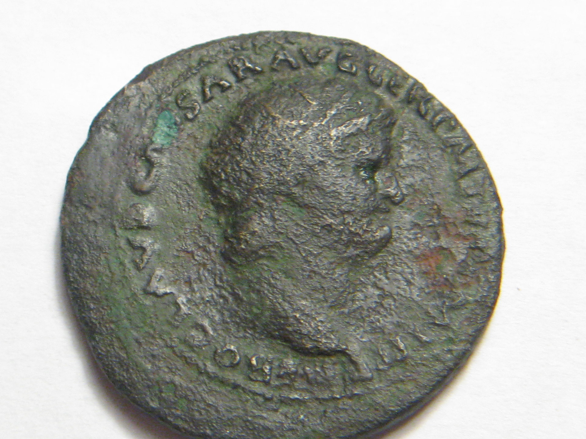 Nero ASSES 002.JPG