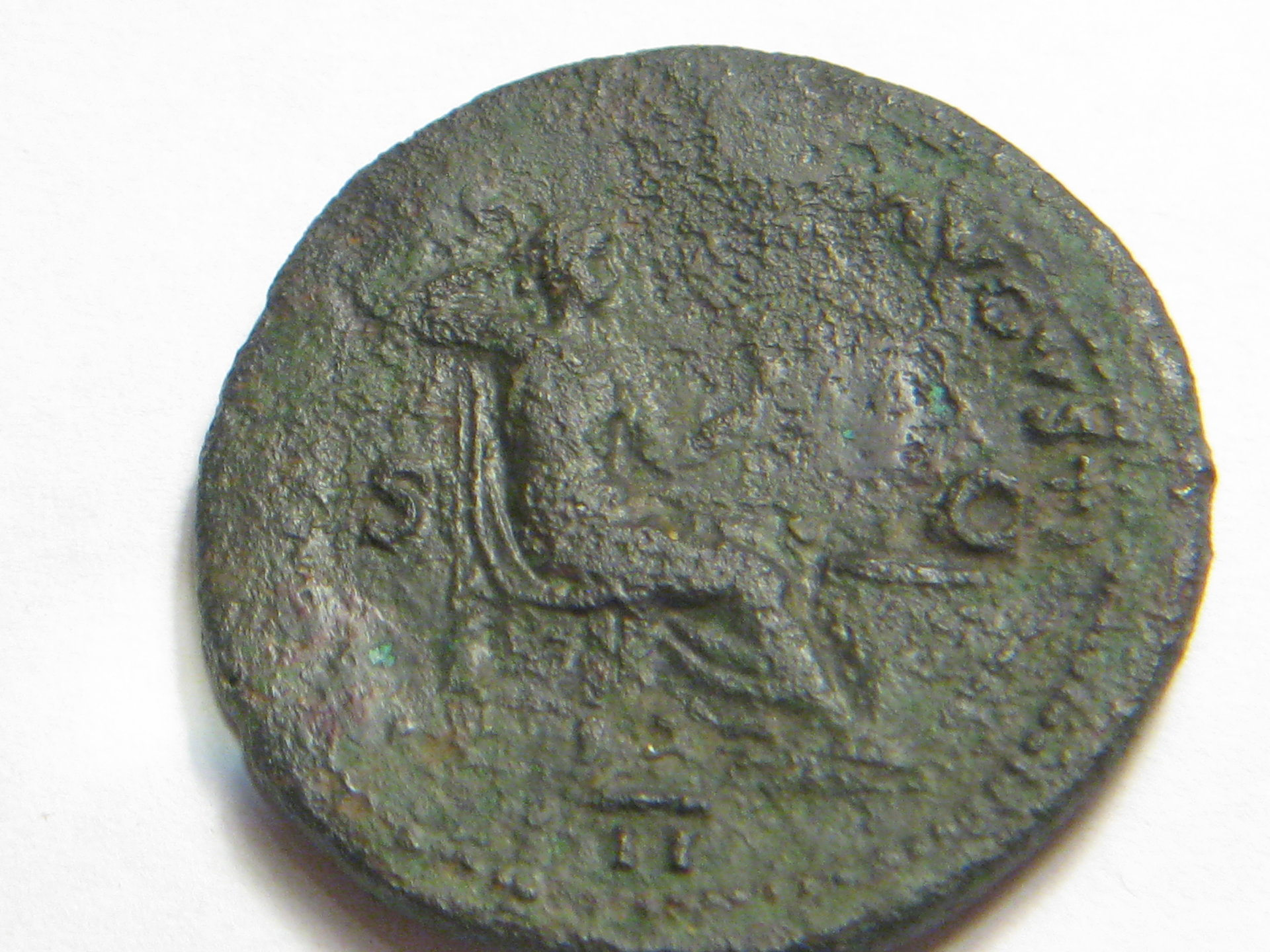 Nero ASSES 004.JPG
