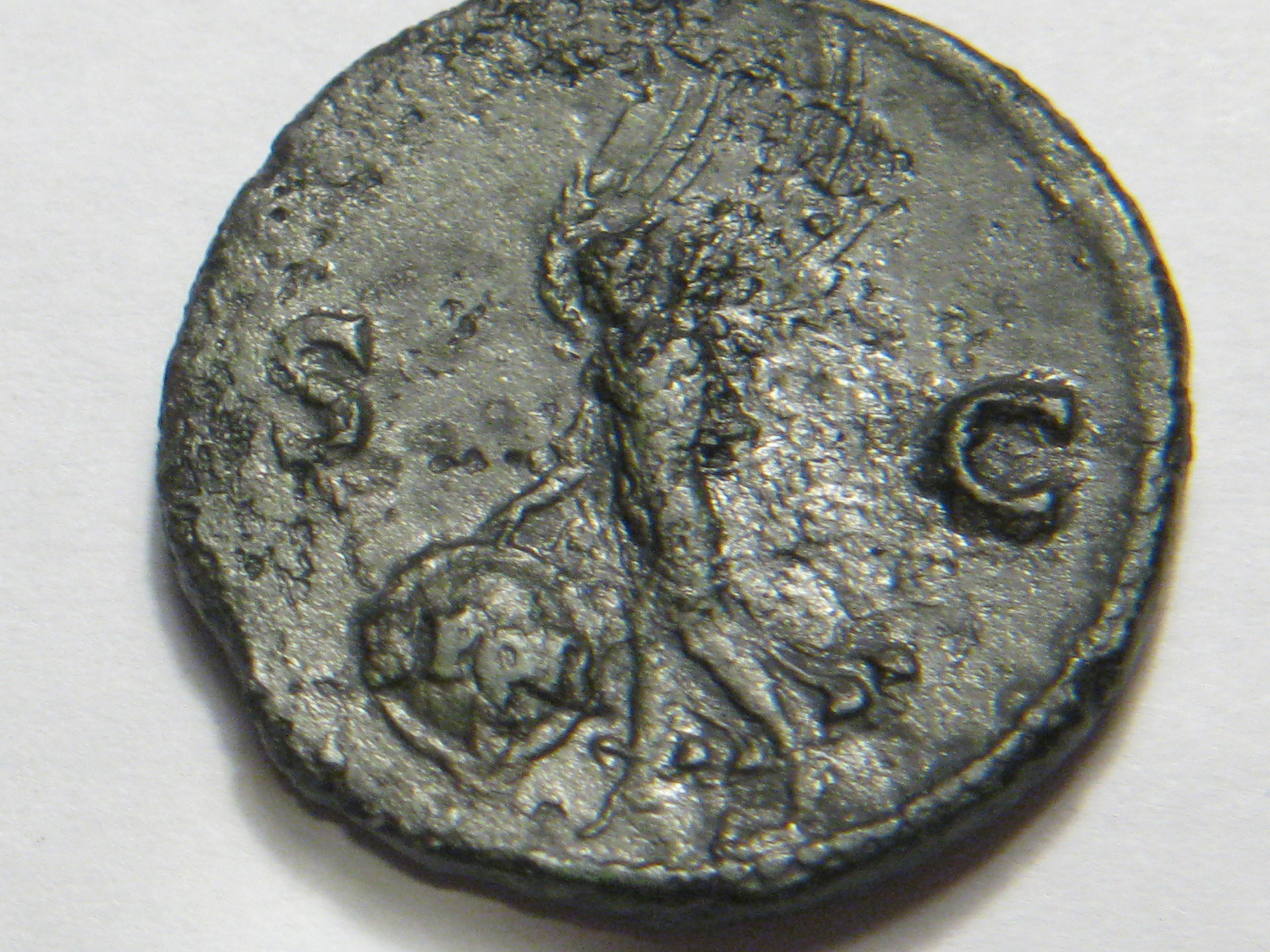 Nero ASSES 005.JPG