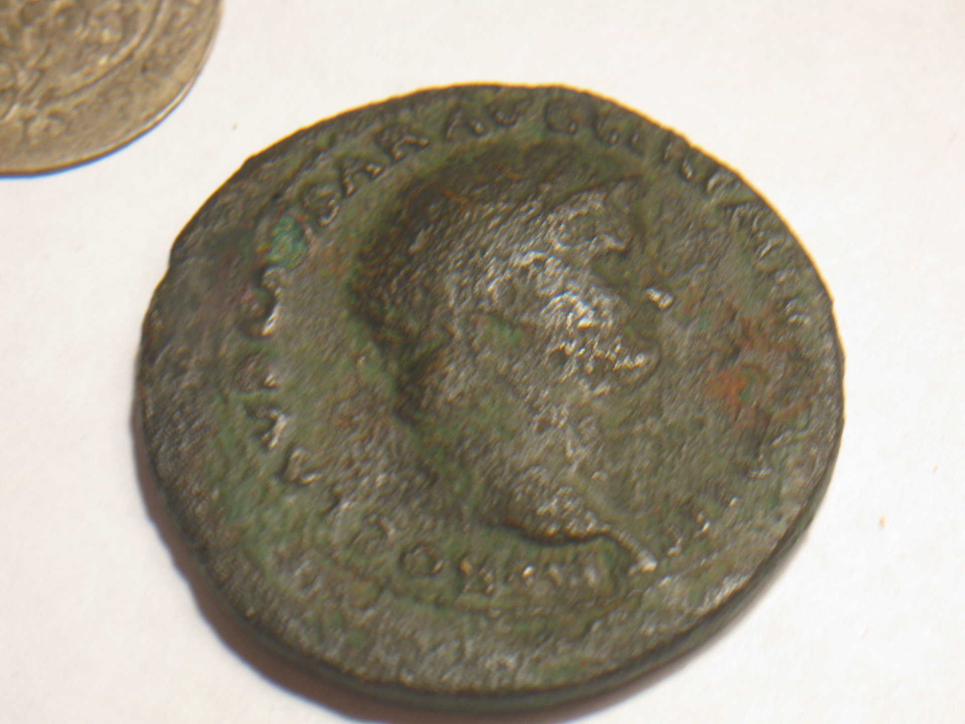 Nero dupondius 002.JPG