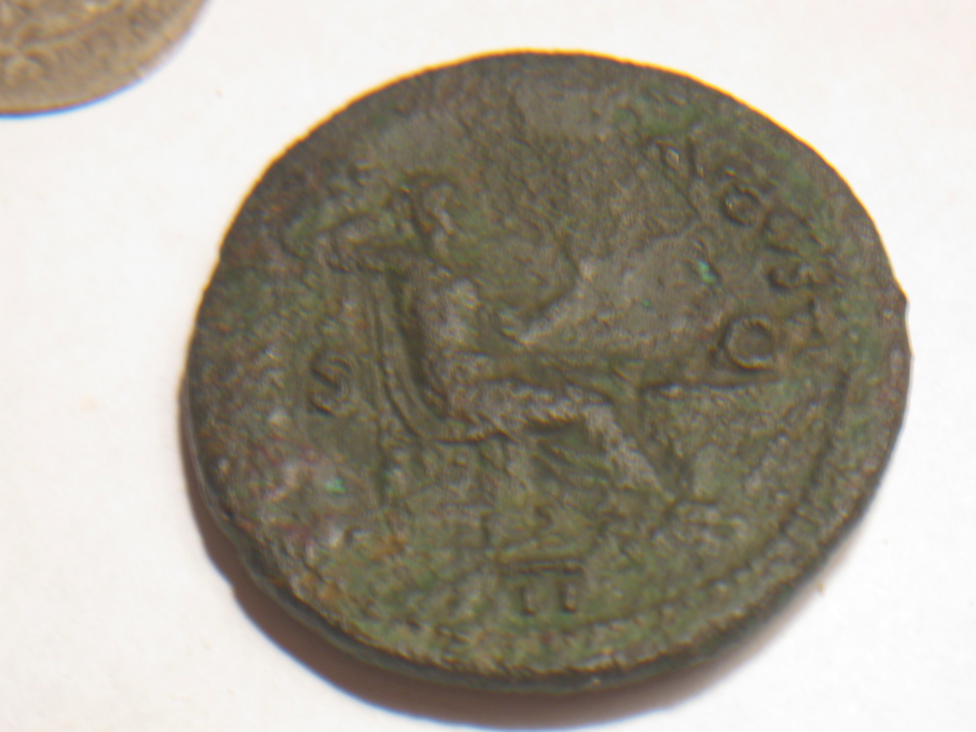 Nero dupondius 004.JPG