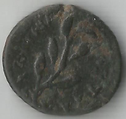Nero(Laurel).JPG