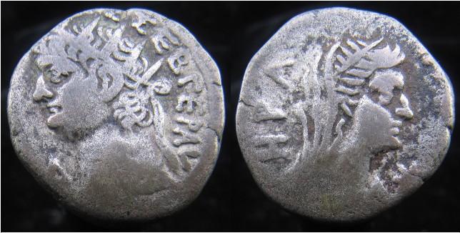 NERO Milne Alexandria 297.jpg