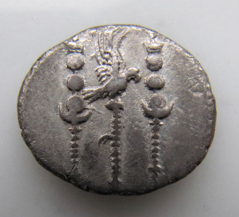 Nero Standard Rev 1 - 1_opt.jpg
