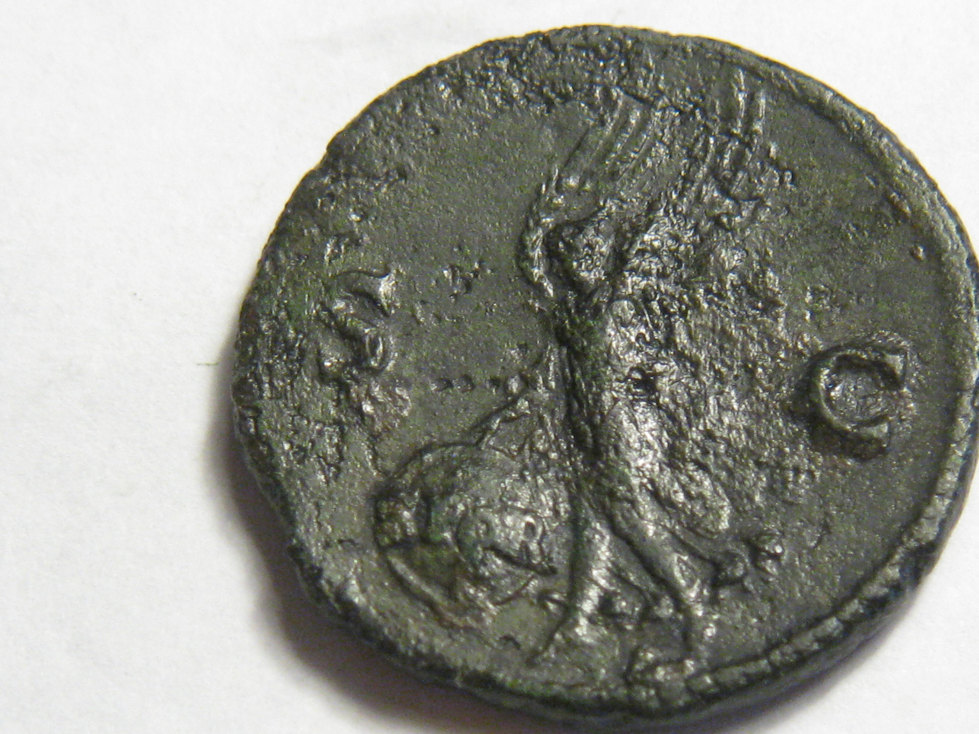 nero, tiberius galba octavian coins 006.JPG