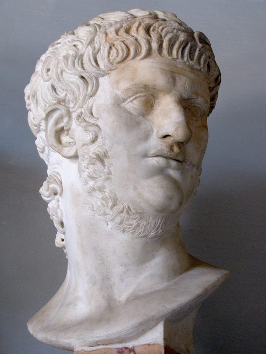 Nero-with-Chin-Beard-548x730.jpg