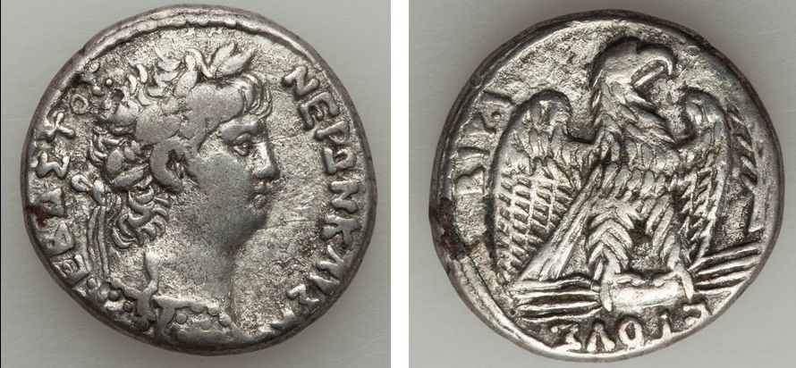 Nero_008.jpg