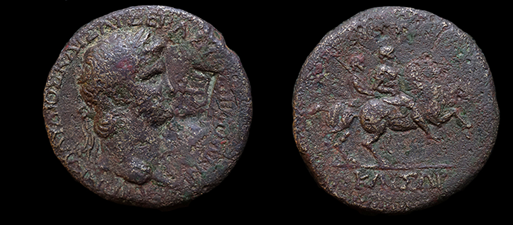 nero_provincial.jpg