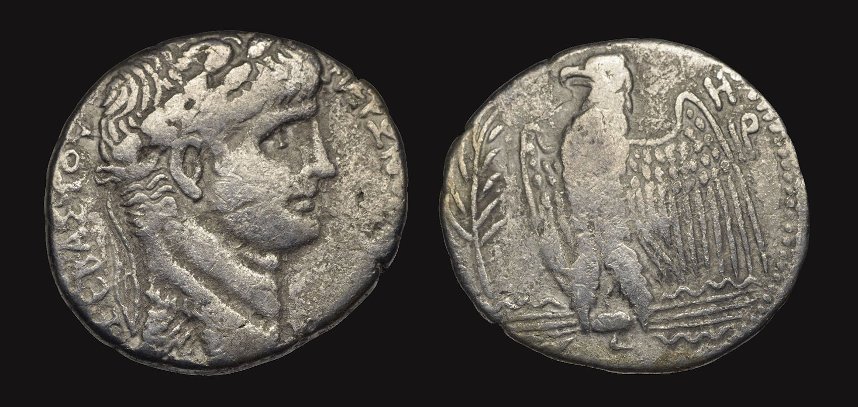 nerosytet.jpg