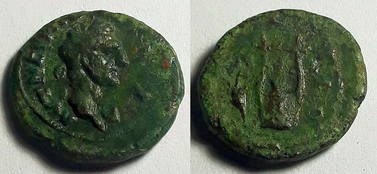 nervA~0.jpg