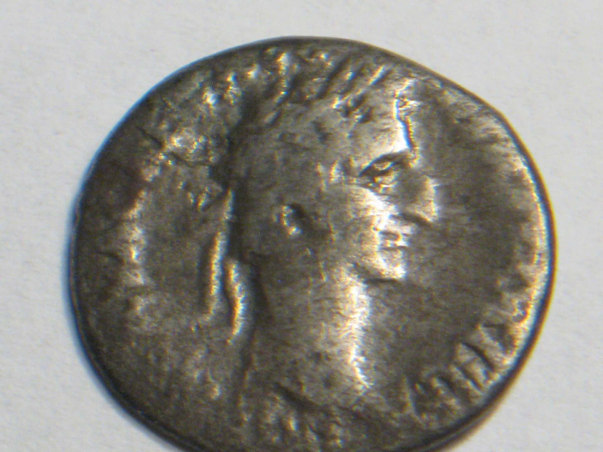 nerva 001.JPG