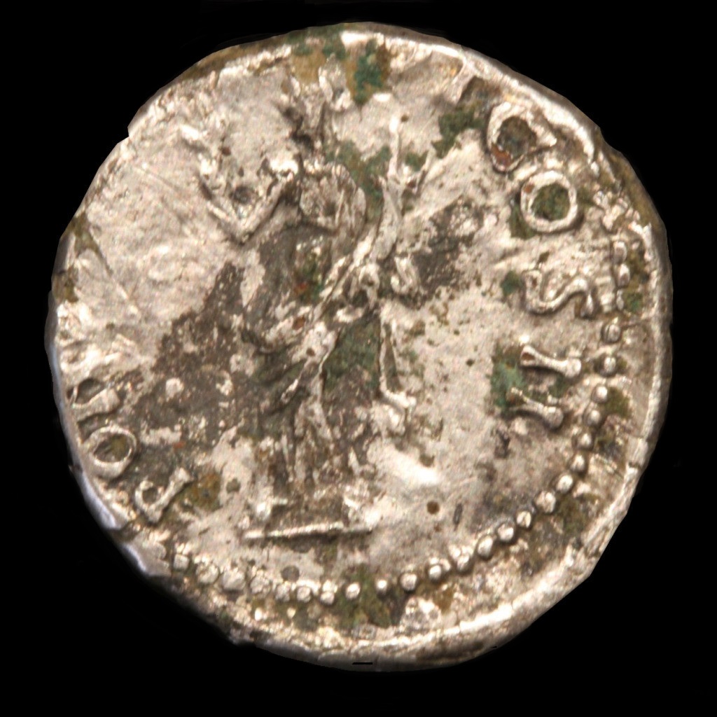 Nerva 20150003 rev.jpg