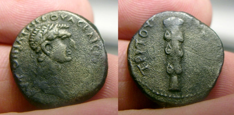 Nerva (3).jpg