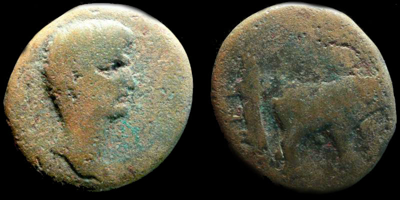 Nerva 4.jpg