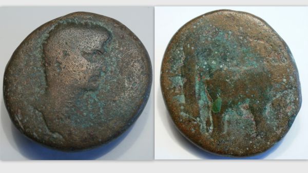 Nerva 4.jpg