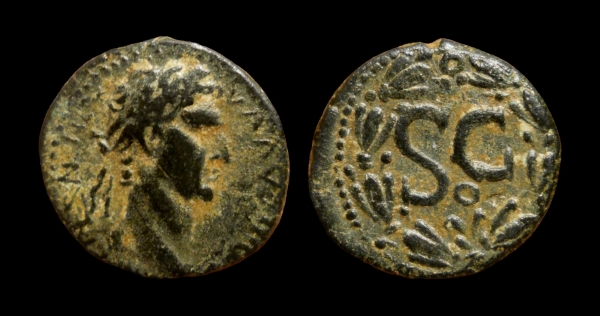 nerva 6.jpg