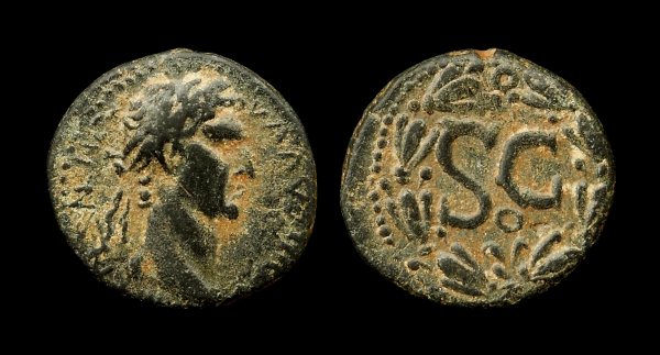 nerva 6.jpg