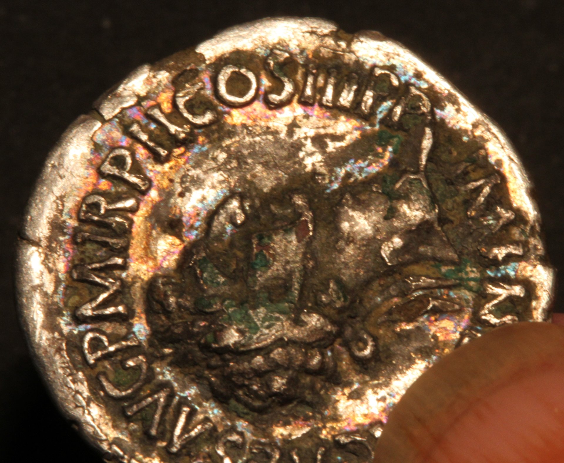 nerva colour 1.JPG