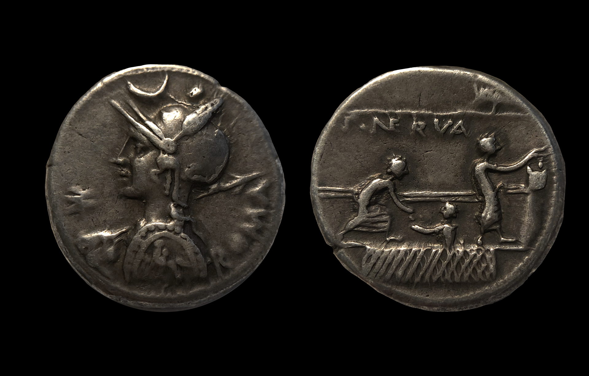 Nerva copy.png