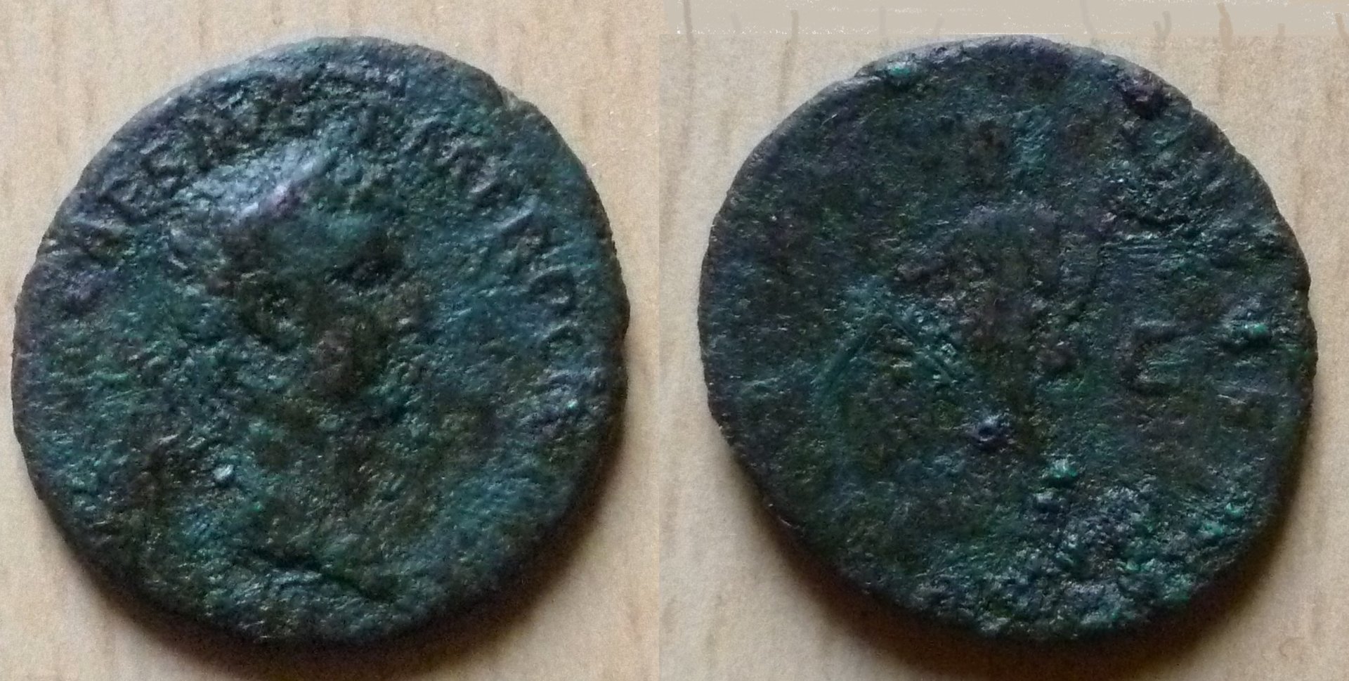 Nerva fortuna (2).JPG